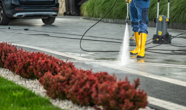 Roof Power Washing Services in Vivian, LA